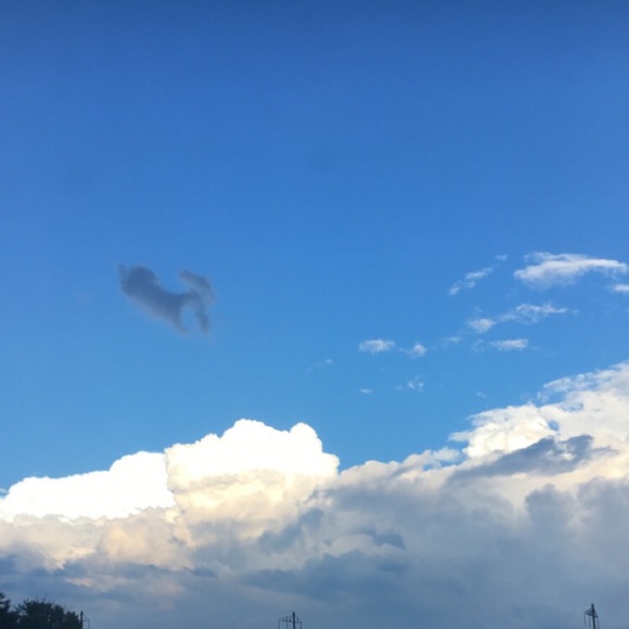 Profile Picture of Joseph Dougherty (@joey10596) on Poshmark