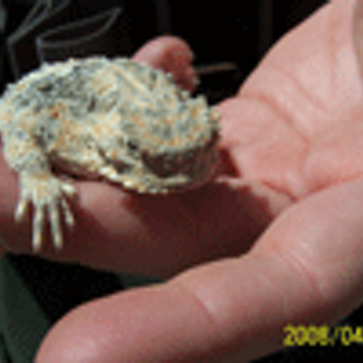 Mike Smelser - Twitter Profile Picture of Mike Smelser (@nocalnomex) on Twitter