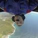 Profile Picture of Kevin Burman (@burman0408) on Pinterest