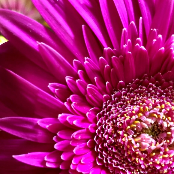 Profile Picture of Donny Lindell (@dalinde) on Poshmark