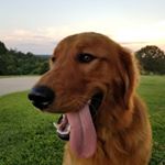 Profile Picture of John Nygren (@john_nitrogen) on Instagram