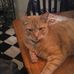 Profile Picture of Diane Culbertson (@diane.culbertson.754) on Facebook