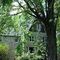 Profile Picture of Albert Prevost (@Albert-Prevost) on Facebook