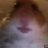 Profile Picture of paula__lilly (@@paula__lilly) on Tiktok