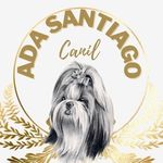 Profile Picture of Canil Ada Santiago (@adasantiago1) on Instagram