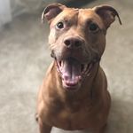 Profile Picture of Terry Grider (@griderz1987) on Instagram