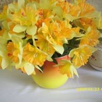 Cindy Pittsley - Quora Profile Picture of Cindy Pittsley (@cindy-pittsley-1) on Quora