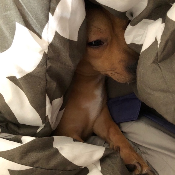 Profile Picture of Robyn Esar (@robynesar) on Poshmark