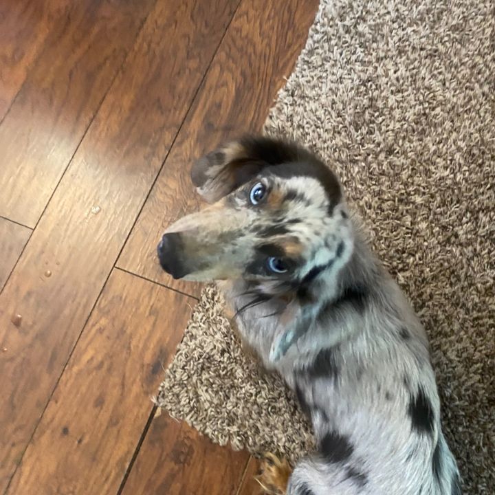 Profile Picture of Paul Steadman (@paul.steadman7) on Tiktok