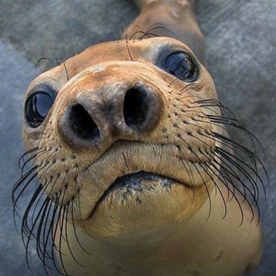 Lilly Bird - Twitter Profile Picture of Lilly Bird (@LarryBi25105963) on Twitter