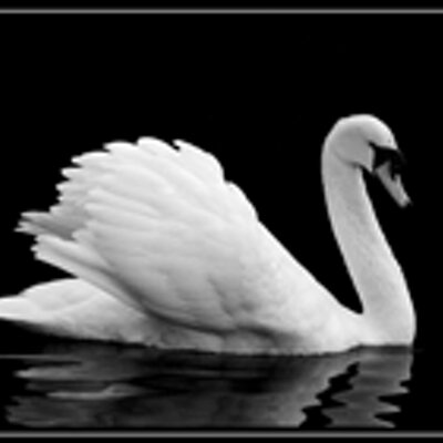 Profile Picture of Earlene Collis-Smith (@sassyangelee) on Twitter