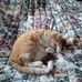 Profile Picture of Kim Plummer (@kim.plummer.125) on Facebook