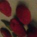 Profile Picture of Tracy Tuttle (@Tracy-Tuttle) on Facebook