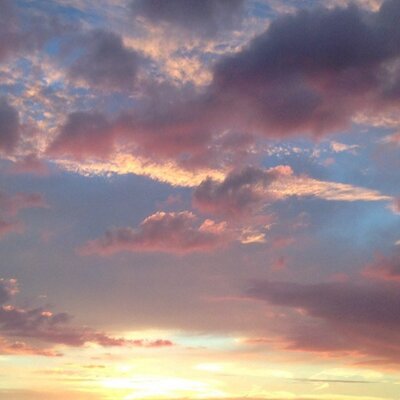 Profile Picture of BLONDES (@blondes3G) on Twitter