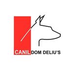 Profile Picture of Dom Deliu's | Filhotes | Hospedagem | Adestramento (@canildomdelius) on Instagram