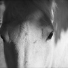 Profile Picture of mischel yosick (@mischel yosick) on Flickr