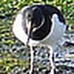 Profile Picture of Keith (@keith rush) on Flickr