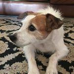 Profile Picture of Julia Faulks (@julia.faulks) on Instagram