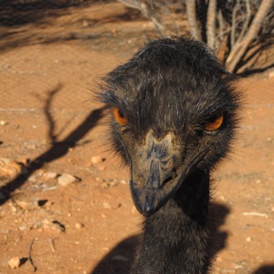 Profile Picture of Ray Burge (@raydemo53) on Twitter