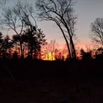 Profile Picture of Karen Blevins (@krbsbj) on Instagram