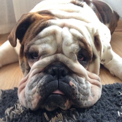 Profile Picture of PAULA COLL LUND (@LundColl) on Twitter