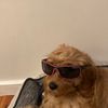 Profile Picture of shannonidestrom (@shannonidestrom) on Tiktok
