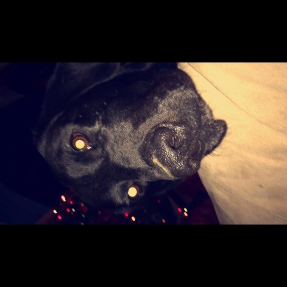 Profile Picture of Chloe Probus (@chloe_ciara) on Poshmark