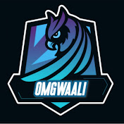 Profile Picture of Mason Hicks (@omgwaali) on Youtube