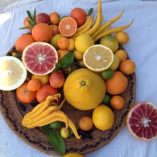 Profile Picture of Bill & Linda Zaiser (@ranchodelsolspecialtycitrus) on Instagram