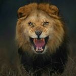 Profile Picture of કાઠીયાવાડી ડાયરાની મોજ (@kathiyawadi_dayra_ni_moj) on Instagram