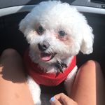 Profile Picture of Buddy Mason (@buddy_masonn) on Instagram