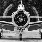 Profile Picture of Julio Hurtado Lobos (@julio.hurtadolobos) on Flickr