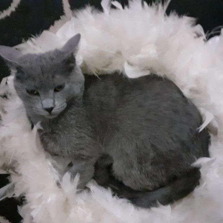 Profile Picture of user6960992166045 (@squillace) on Tiktok