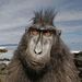 Profile Picture of Dave Ogle (@daveo1074) on Pinterest