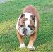 Profile Picture of Amanda McElroy (@amanda.mcelroy.5076) on Facebook
