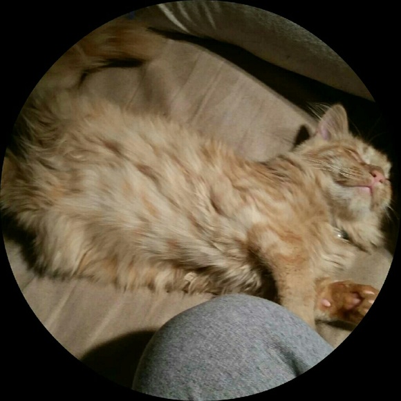 Profile Picture of Calley Stredney (@calley_s) on Poshmark