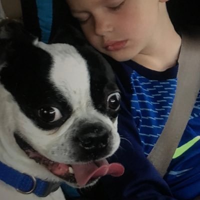 Profile Picture of Nick (@nick_wozny) on Twitter