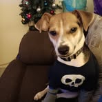 Profile Picture of Bobby Helms (@Bobby-Helms) on Facebook