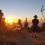 Profile Picture of Shawn Donnelly (@gingersnaps156) on Instagram