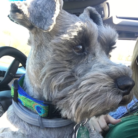 Profile Picture of Casey Haynes (@chaynes0818) on Poshmark