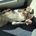 Profile Picture of David Pabst (@david.pabst.7921) on Facebook