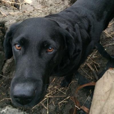 Profile Picture of Keith Barlow (@keithbarl0w) on Twitter