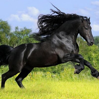 Profile Picture of Steve Singleton Sr. (@BLACKPEPPER007) on Twitter