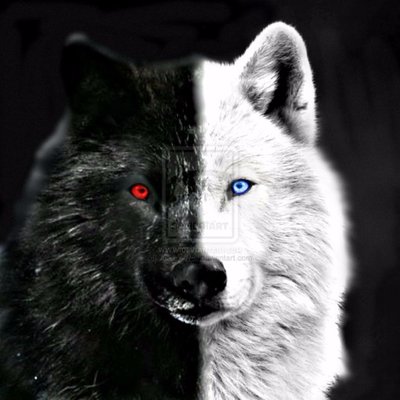 Profile Picture of Zach Sebastian (@ZachHernan2810) on Twitter