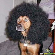 Alex Webster - Youtube Profile Picture of Alex Webster (@awebs047) on Youtube