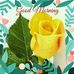 Profile Picture of Manish Chitnis (@manish.chitnis.77) on Facebook