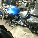 Profile Picture of Brandon Komar (@komarbrandon) on Instagram