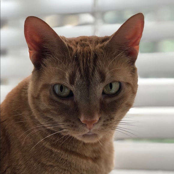 Ben Gretzinger - Poshmark Profile Picture of Ben Gretzinger (@theonlybenever) on Poshmark