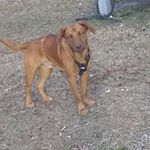 Profile Picture of travis Swain (@swain.travis) on Instagram