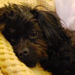 Profile Picture of tadaltekruse (@tadaltekruse) on Instagram